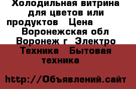 Холодильная витрина для цветов или продуктов › Цена ­ 25 000 - Воронежская обл., Воронеж г. Электро-Техника » Бытовая техника   